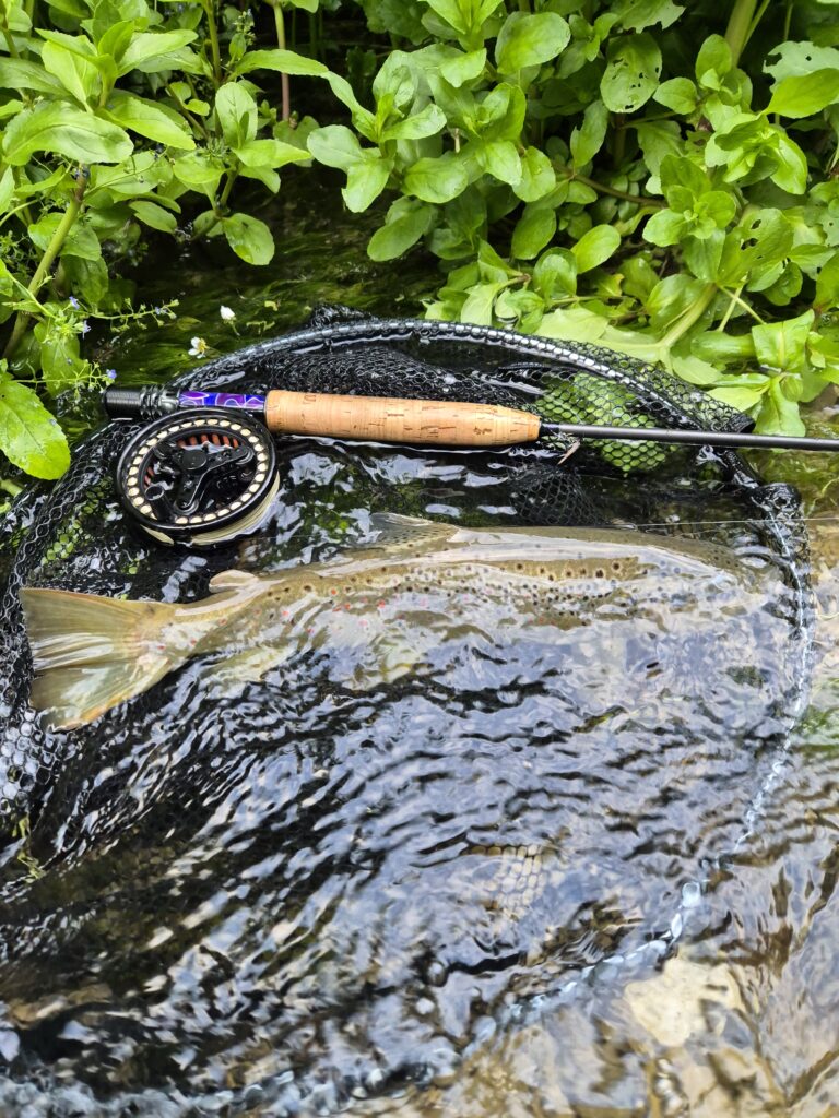 Elia Frontalini — attività di guida di pesca