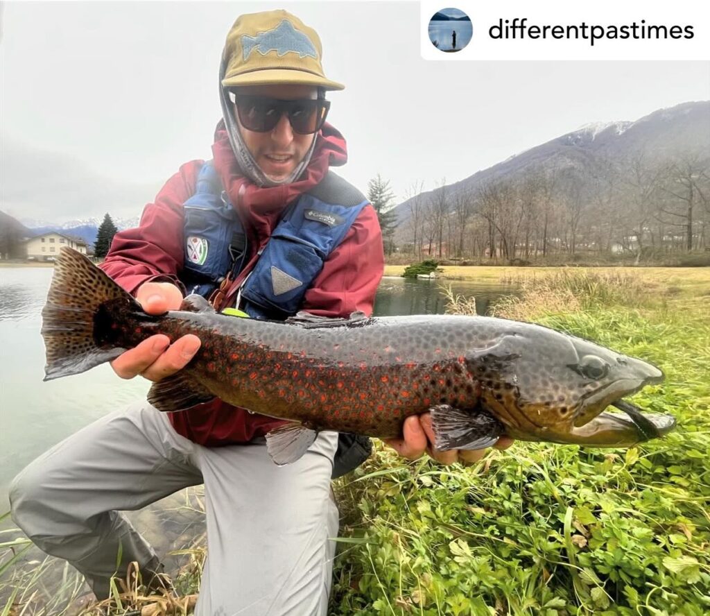 Contenuto Instagram di @aigupp