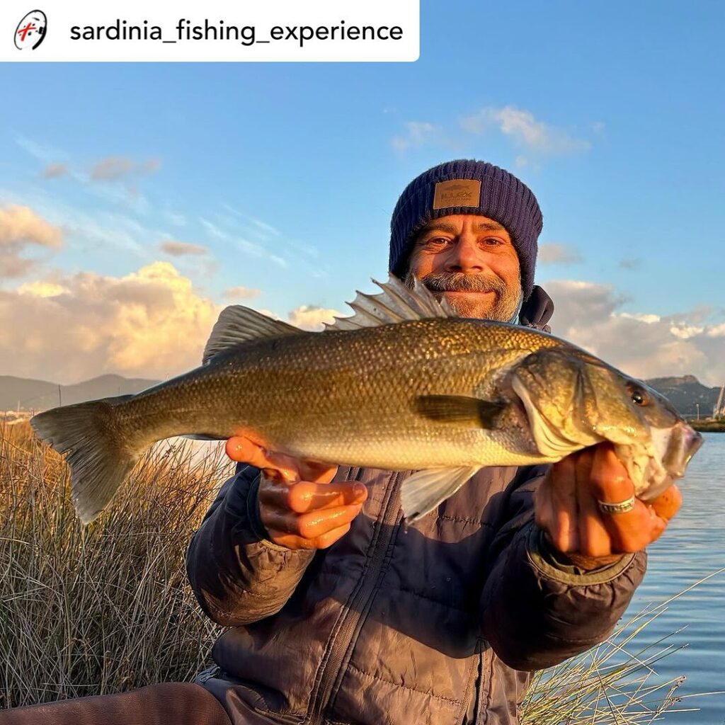 Contenuto Instagram di @aigupp