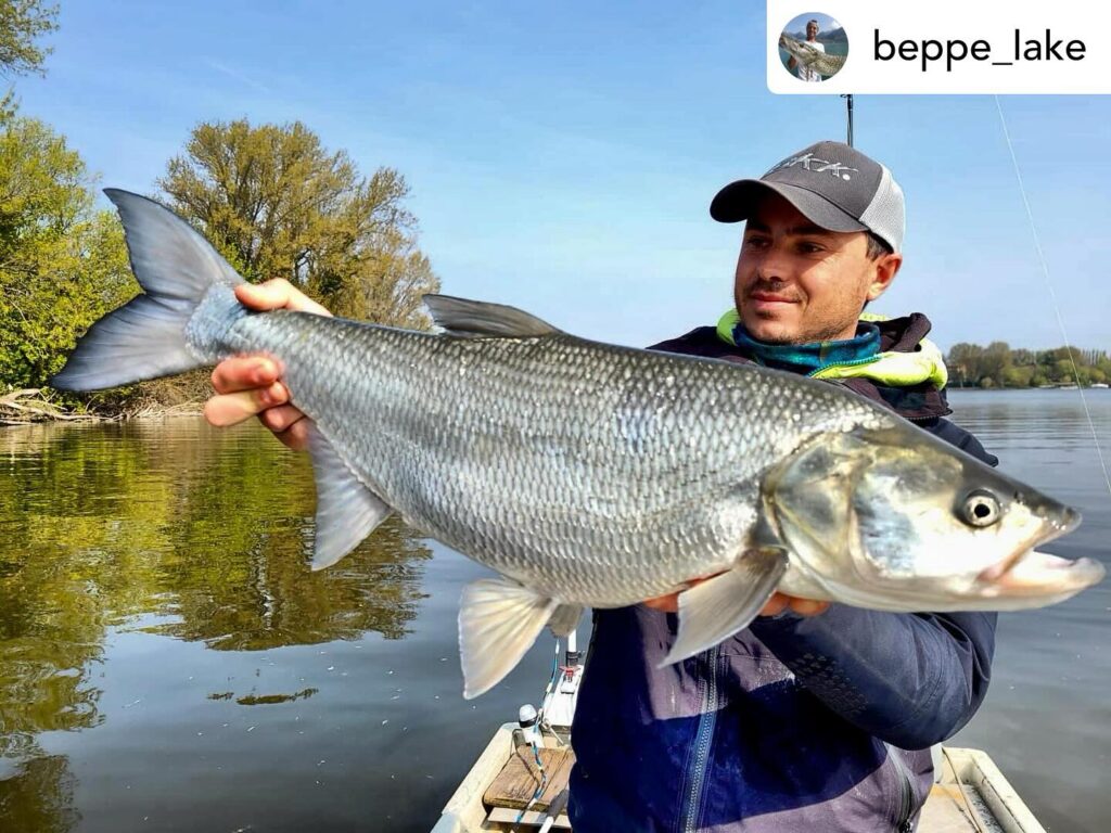 Contenuto Instagram di @aigupp