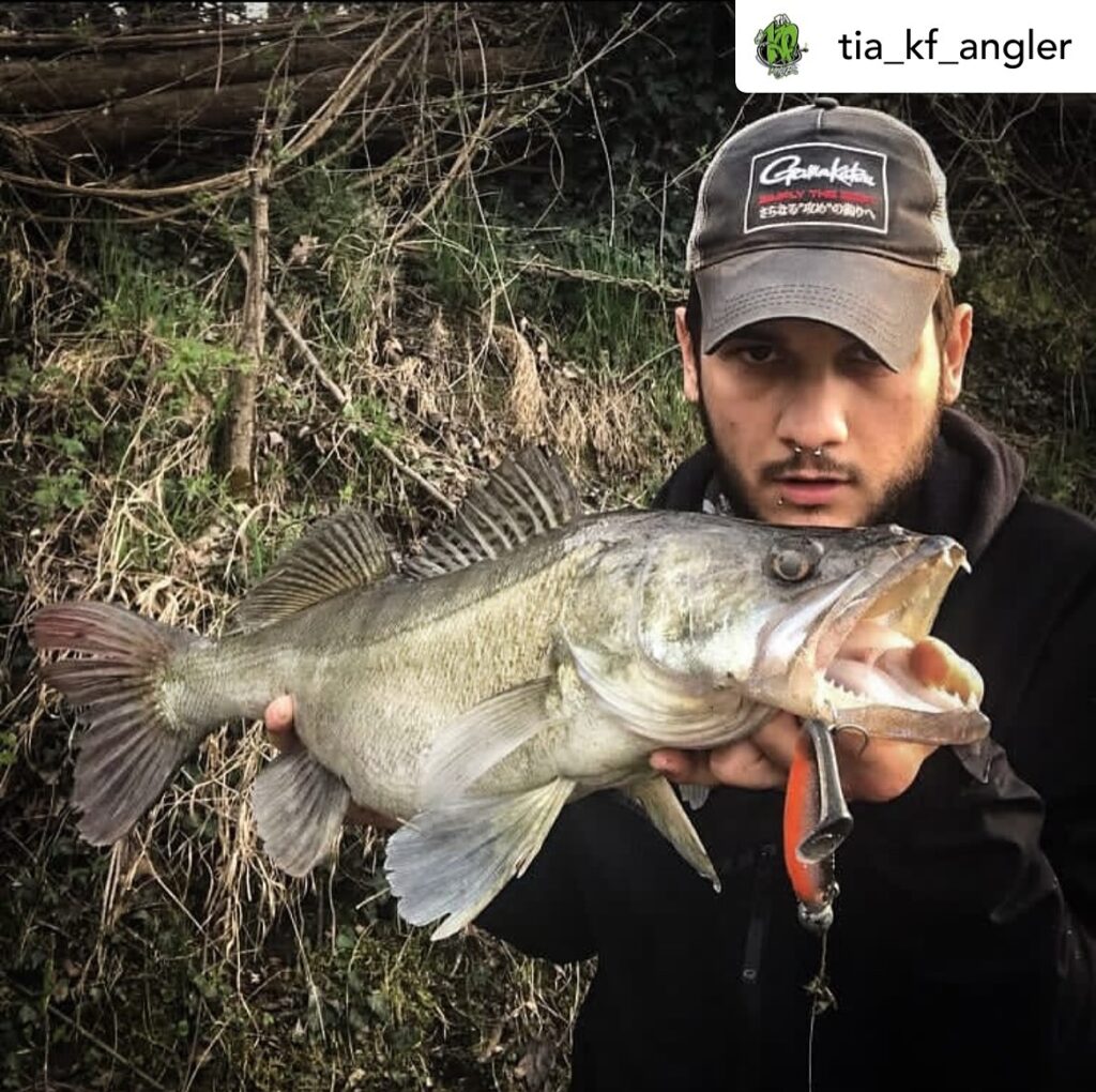 Contenuto Instagram di @aigupp