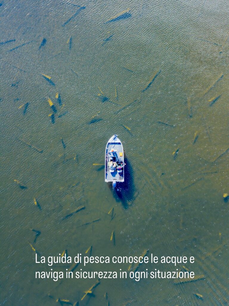 Contenuto Instagram di @aigupp
