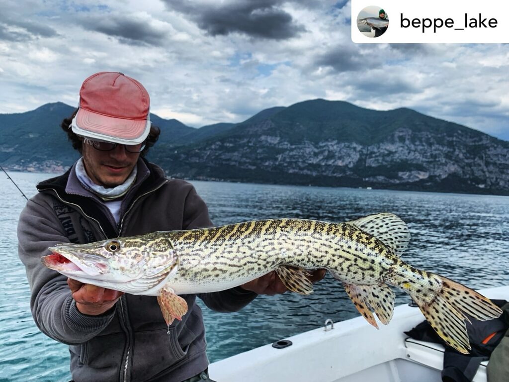 Contenuto Instagram di @aigupp