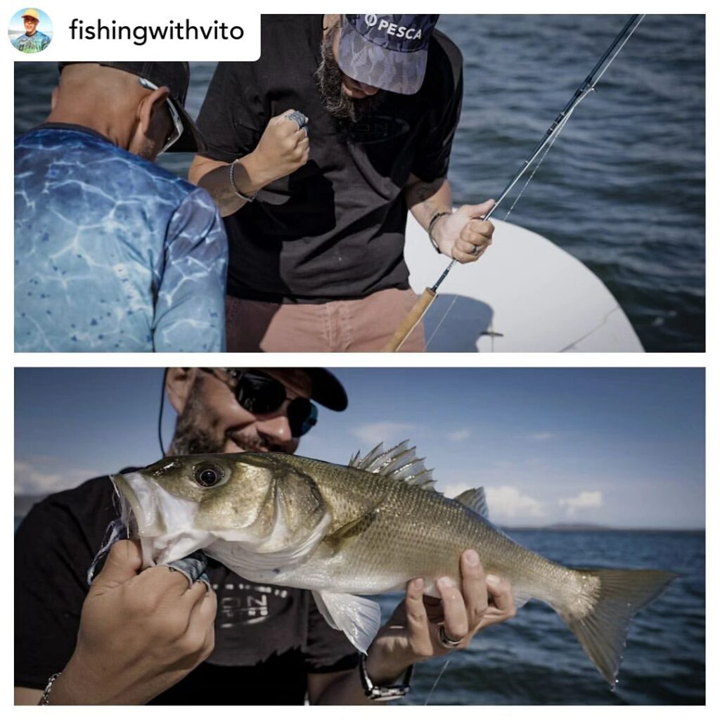 Contenuto Instagram di @aigupp