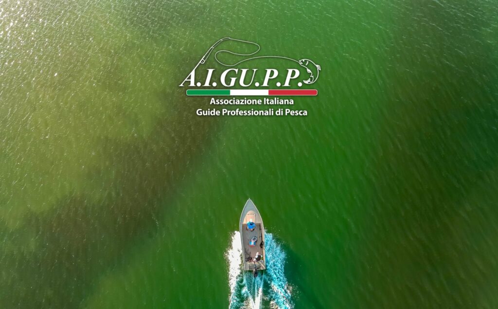 Contenuto Instagram di @aigupp
