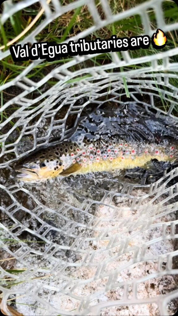 Contenuto Instagram di @frank.fishing.guide.piemonte