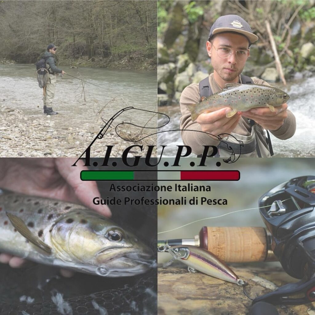 Contenuto Instagram di @aigupp