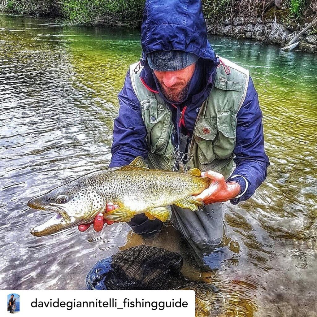 Contenuto Instagram di @aigupp