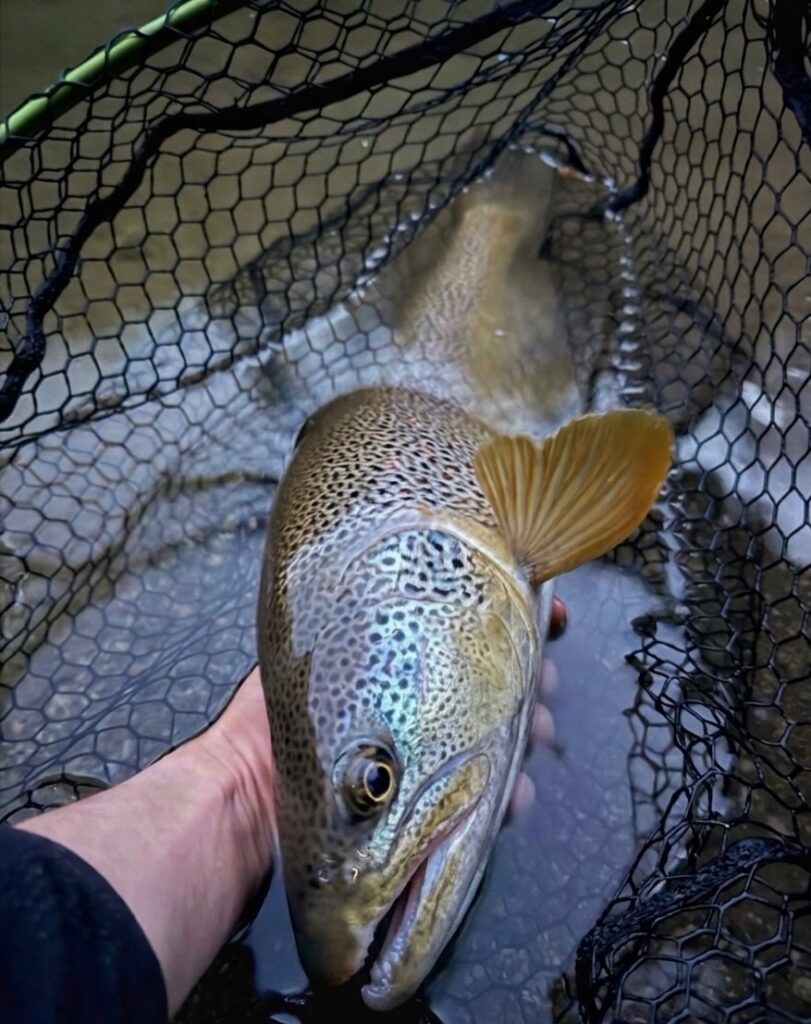 Contenuto Instagram di @matteo.fishing_