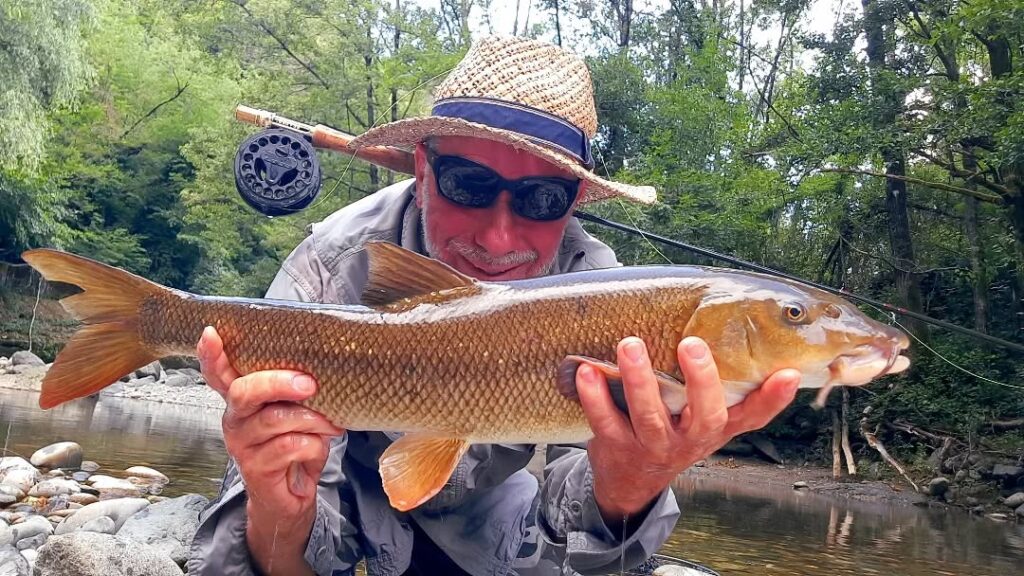 Contenuto Instagram di @flyfishingcinqueterre