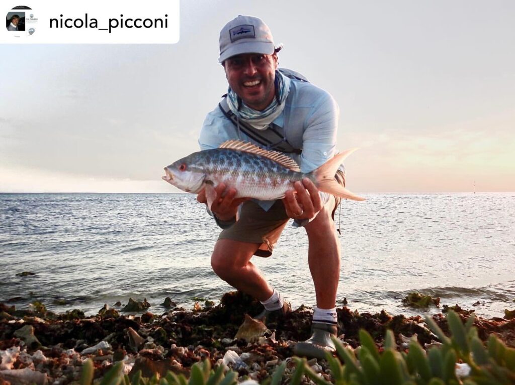 Contenuto Instagram di @aigupp