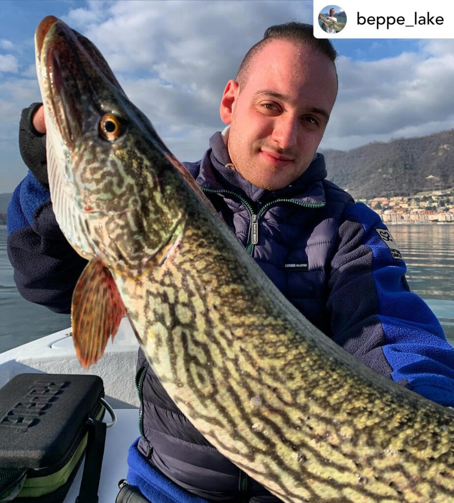 Contenuto Instagram di @aigupp
