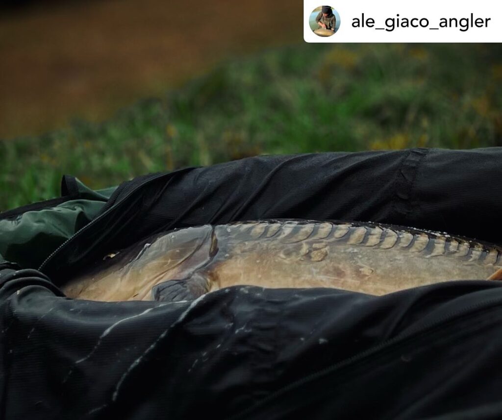 Contenuto Instagram di @aigupp