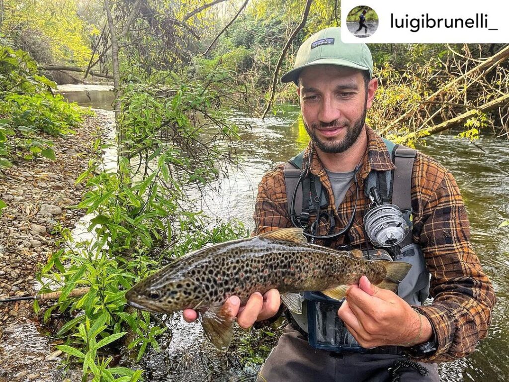Contenuto Instagram di @aigupp