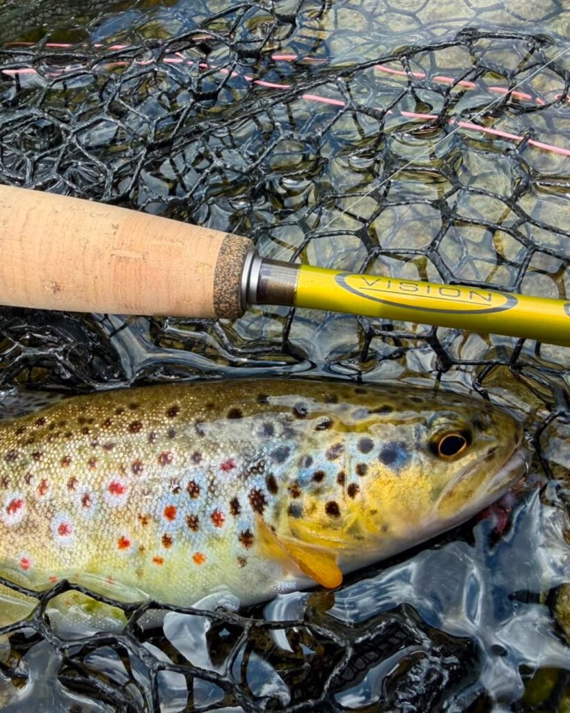 Contenuto Instagram di @carandoandreafishingguide