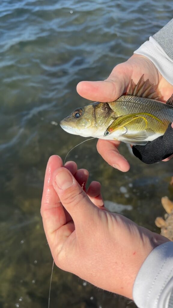 Contenuto Instagram di @sardinia_fishing_experience