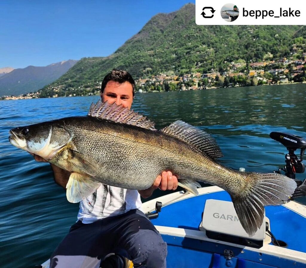 Contenuto Instagram di @aigupp