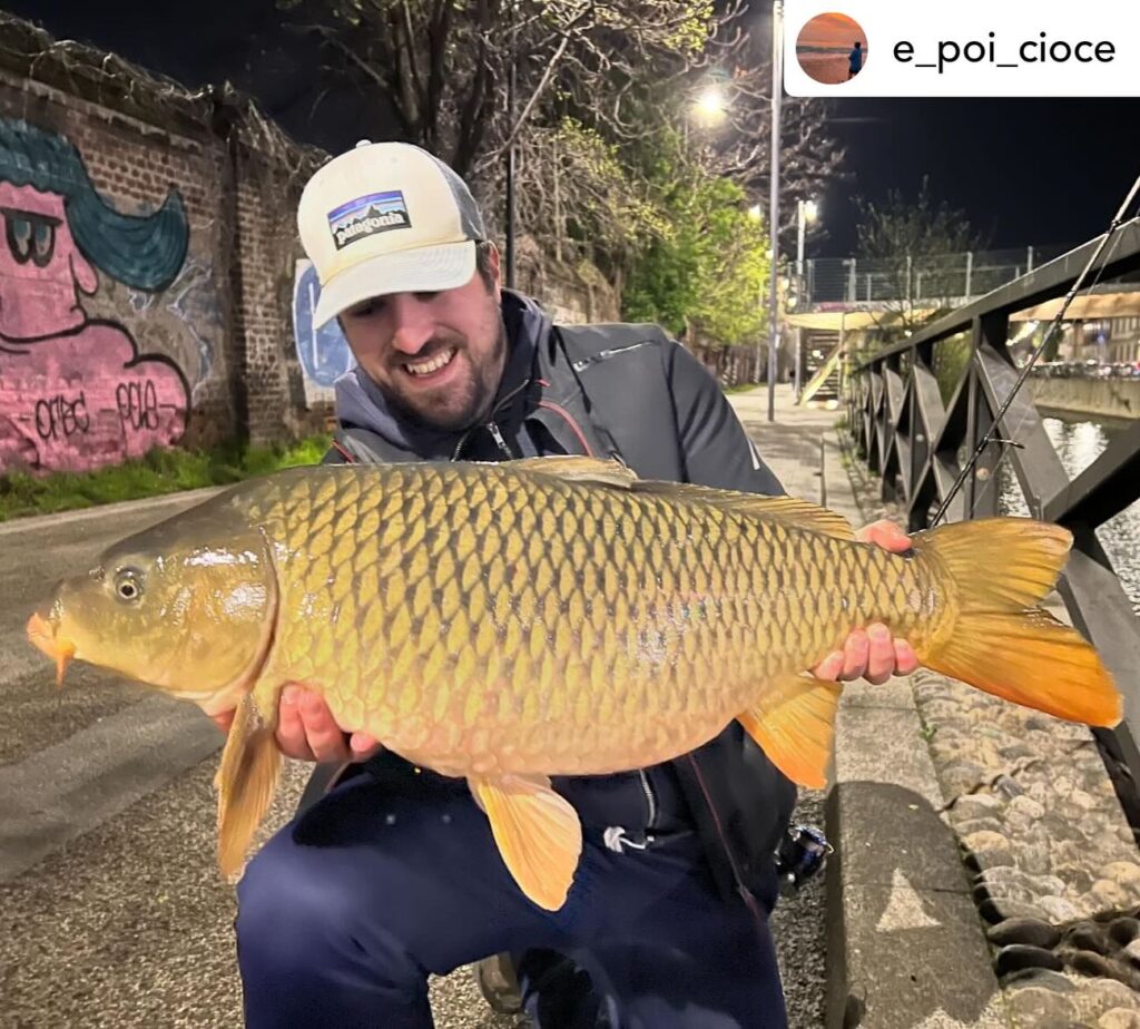 Contenuto Instagram di @aigupp