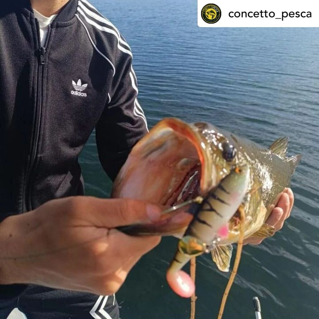 Contenuto Instagram di @aigupp