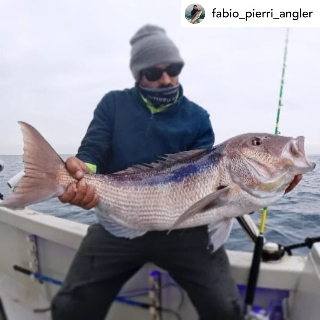 Contenuto Instagram di @aigupp