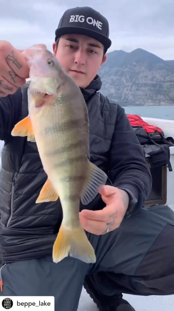 Contenuto Instagram di @aigupp