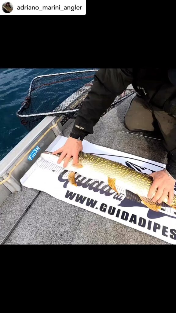 Contenuto Instagram di @aigupp