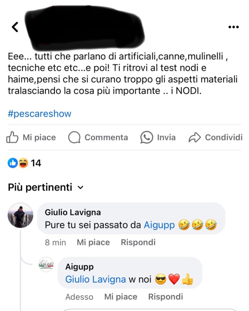 Contenuto Instagram di @aigupp