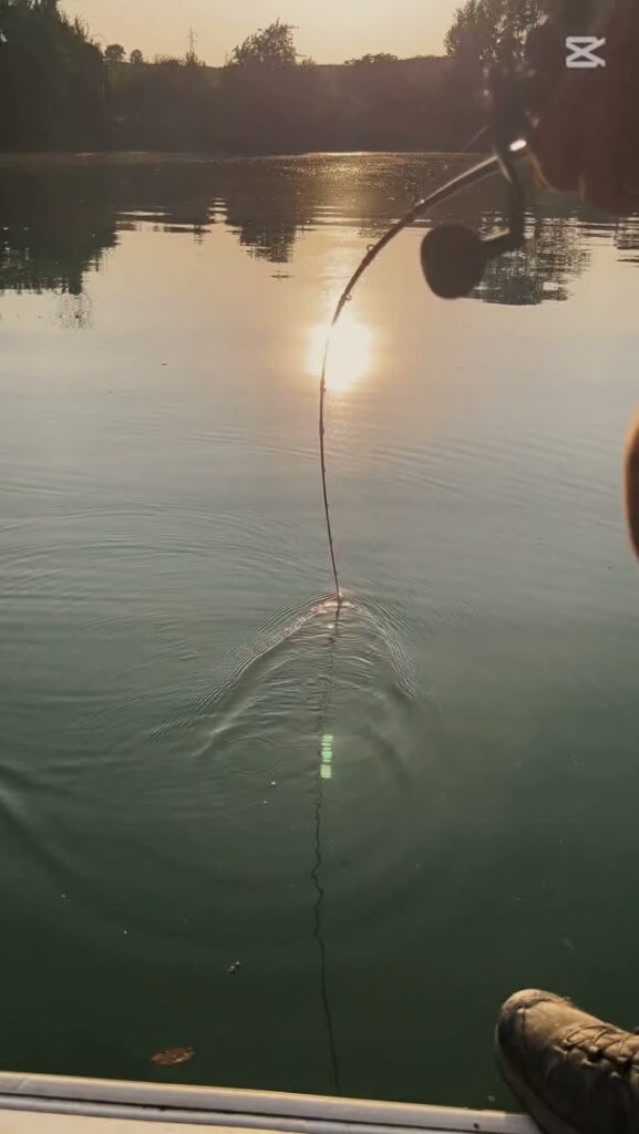 Contenuto Instagram di @adriano_marini_angler