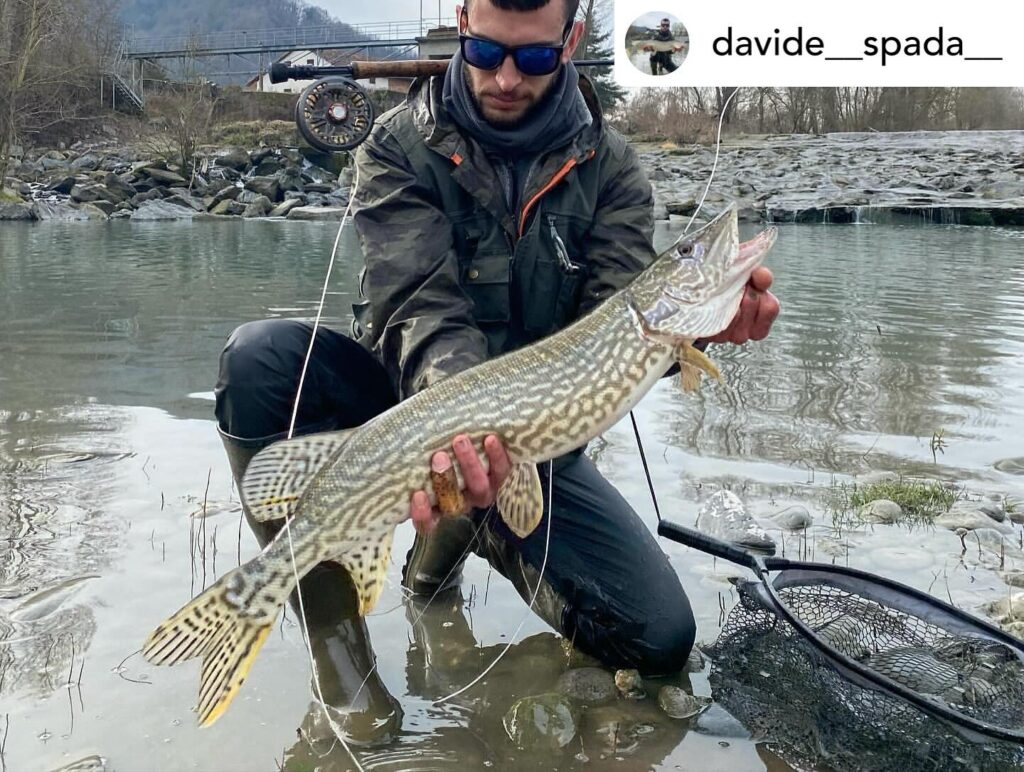 Contenuto Instagram di @aigupp