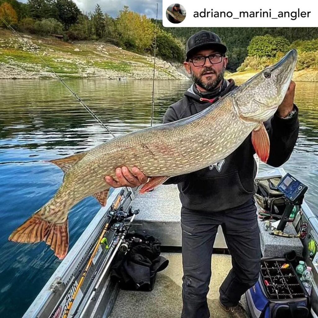 Contenuto Instagram di @aigupp