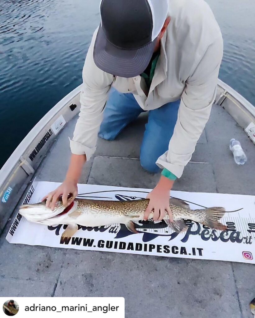 Contenuto Instagram di @aigupp
