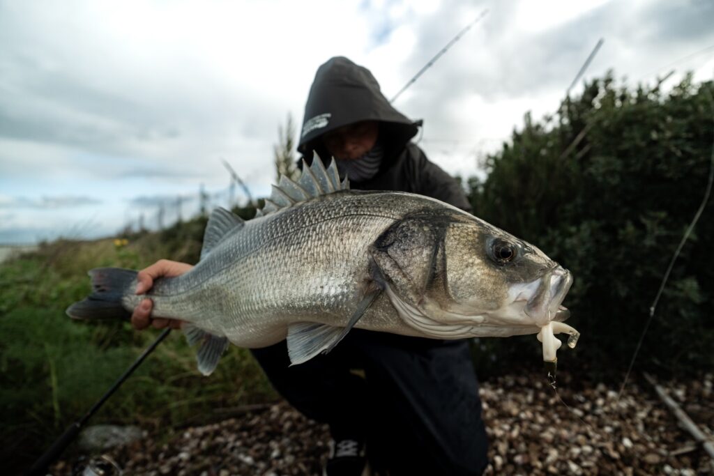 Contenuto Instagram di @dr.fishing90