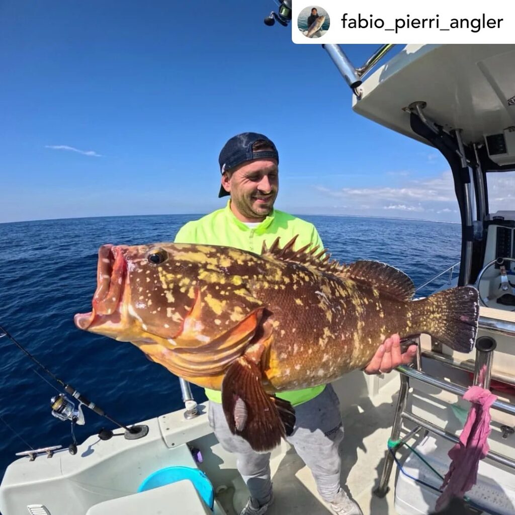 Contenuto Instagram di @aigupp