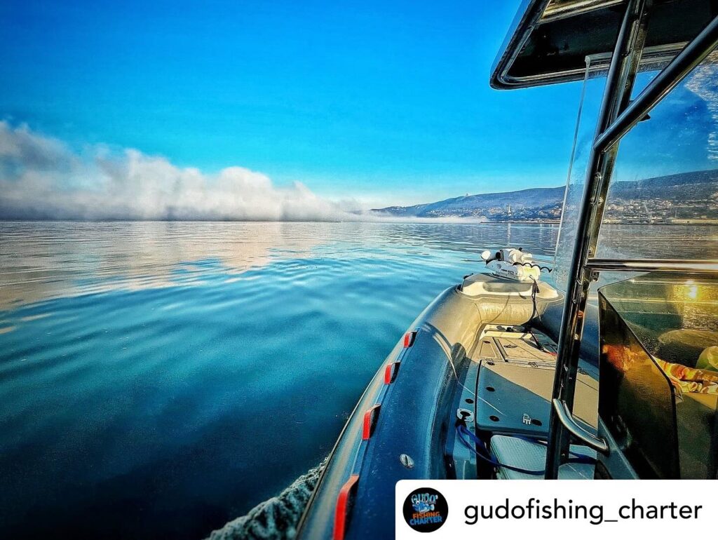Contenuto Instagram di @aigupp