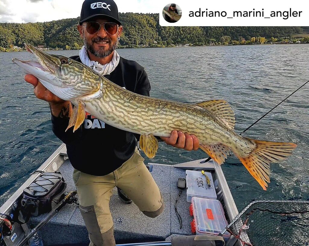 Contenuto Instagram di @aigupp