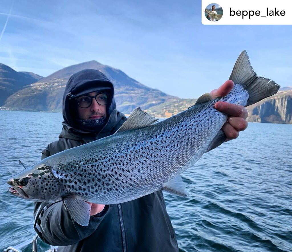 Contenuto Instagram di @aigupp