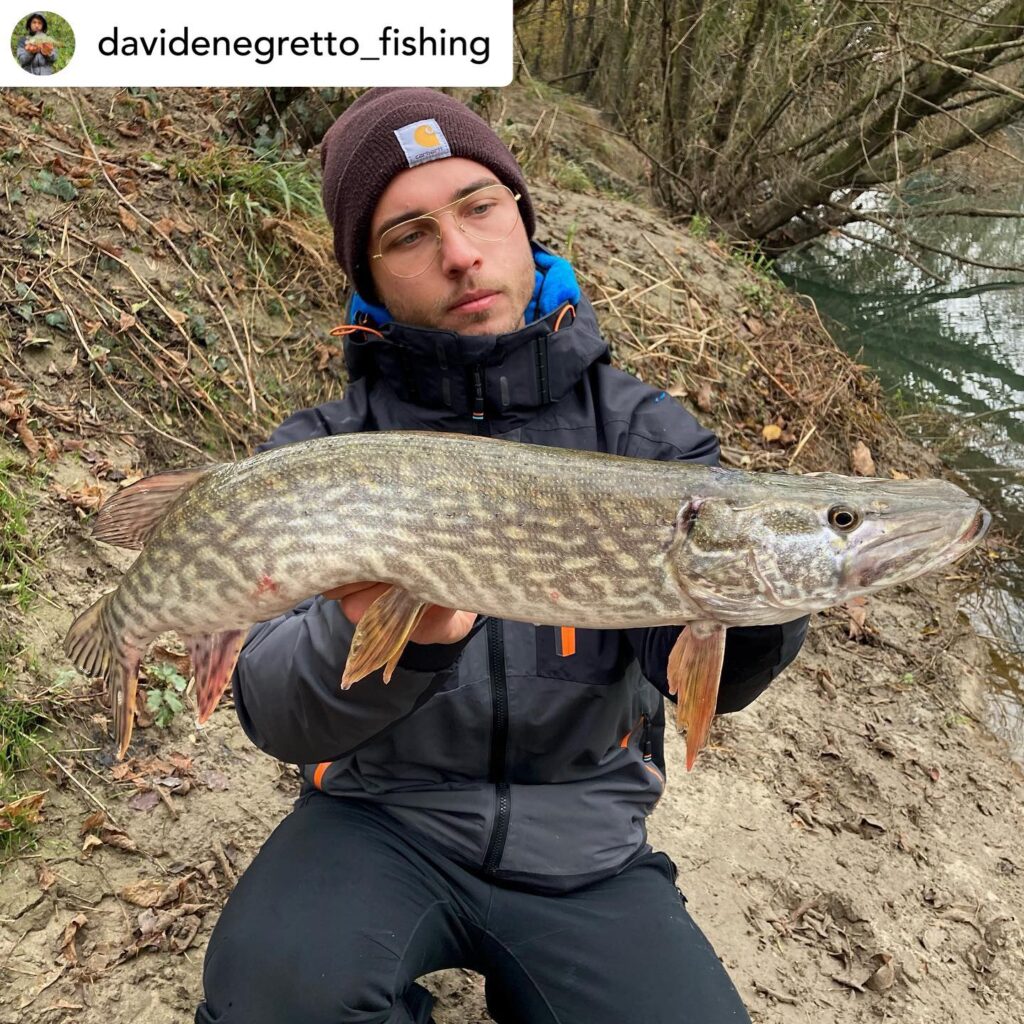 Contenuto Instagram di @aigupp