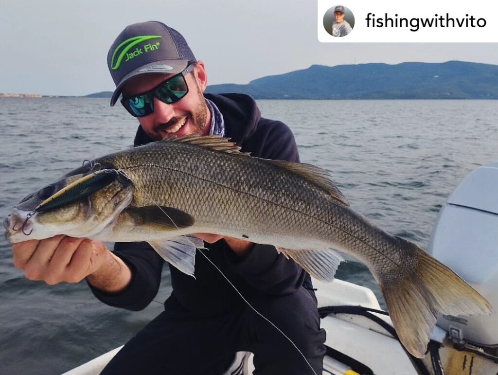 Contenuto Instagram di @aigupp