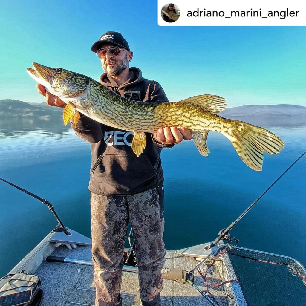 Contenuto Instagram di @aigupp