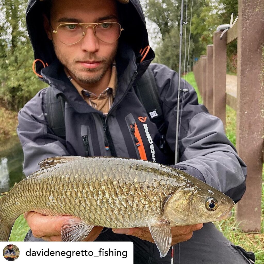 Contenuto Instagram di @aigupp