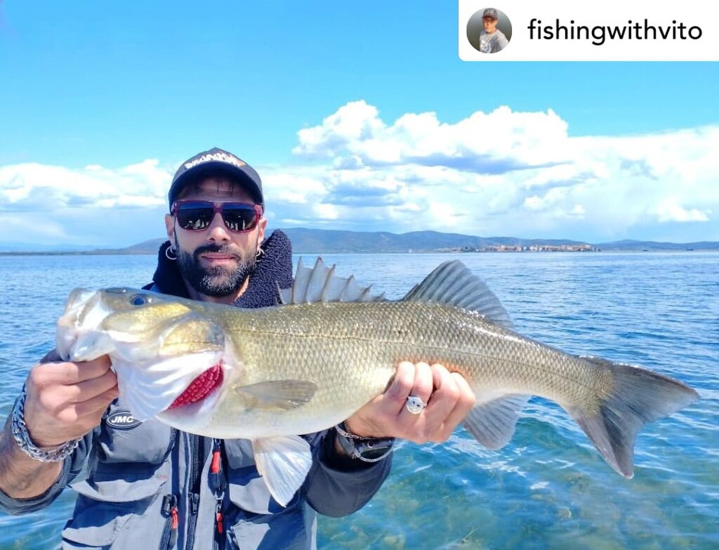 Contenuto Instagram di @aigupp
