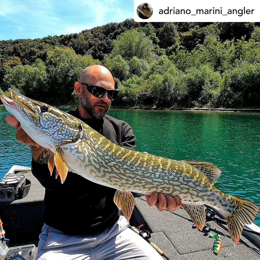 Contenuto Instagram di @aigupp