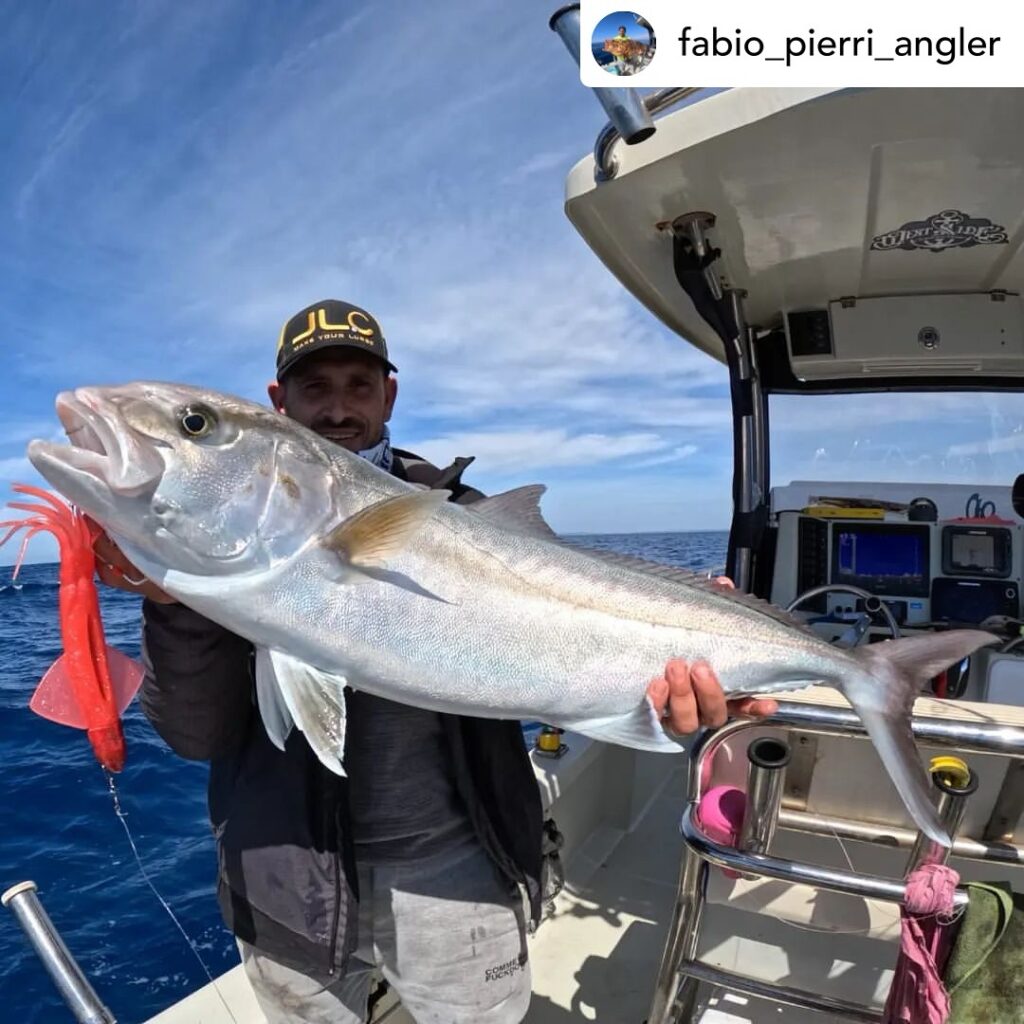Contenuto Instagram di @aigupp
