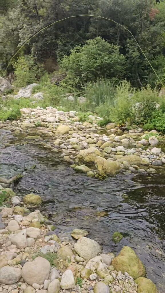 Contenuto Instagram di @fly.fishing.sicily.experience
