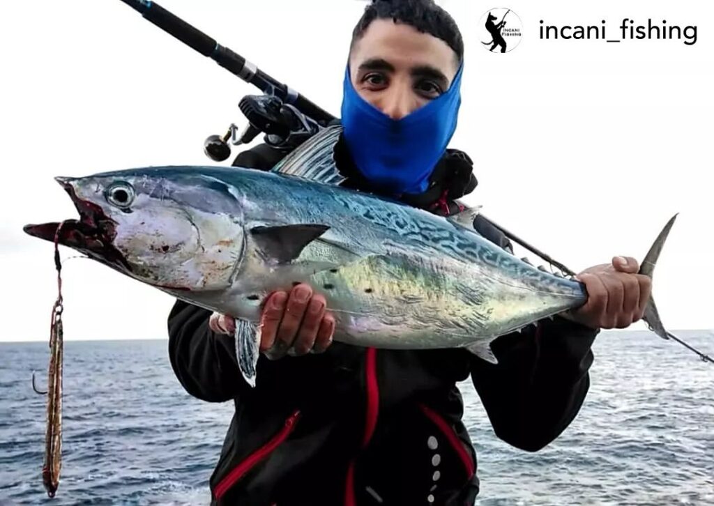 Contenuto Instagram di @aigupp