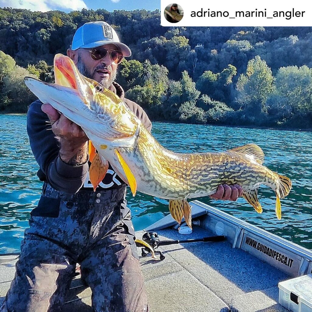 Contenuto Instagram di @aigupp