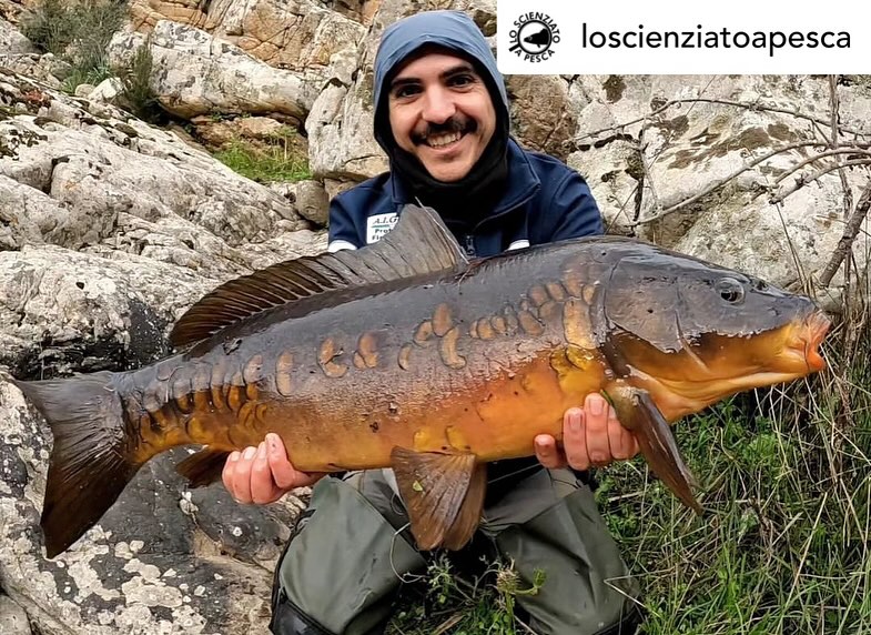 Contenuto Instagram di @aigupp