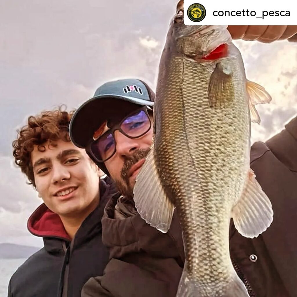Contenuto Instagram di @aigupp
