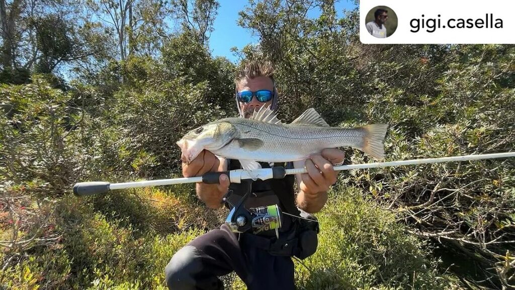 Contenuto Instagram di @aigupp