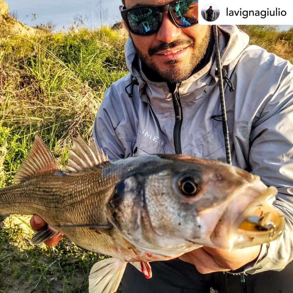 Contenuto Instagram di @aigupp